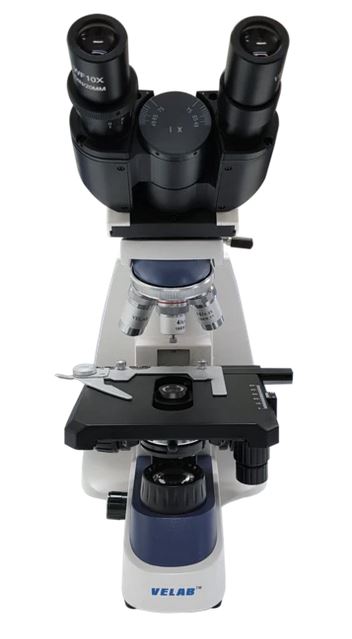 Microscopio binocular biológico. Modelo VE-B1. Marca: velab