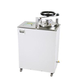 Autoclave de 24 litros. Modelo FE-396. Marca: Felisa