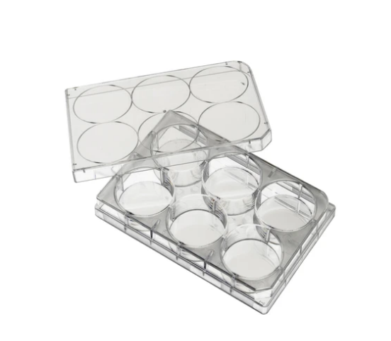 Placa para cultivo de 12 pozos. Modelo 07-6012