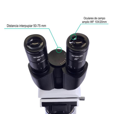 Microscopio Prisma 5000