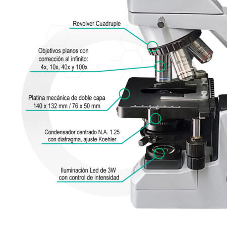 Microscopio Prisma 300