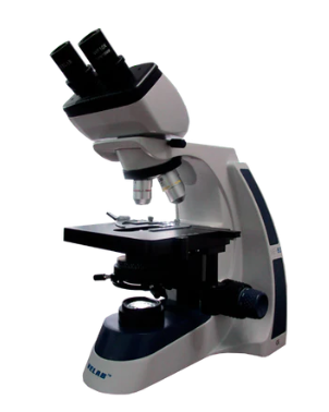 Microscopio binocular biológico. Modelo VE-B3. Marca: velab