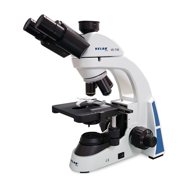 Microscopio triocular biológico. Modelo VE-T50. Marca: velab