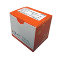 Kit de detección GenomeCoV19. Modelo GENOMECOV-19