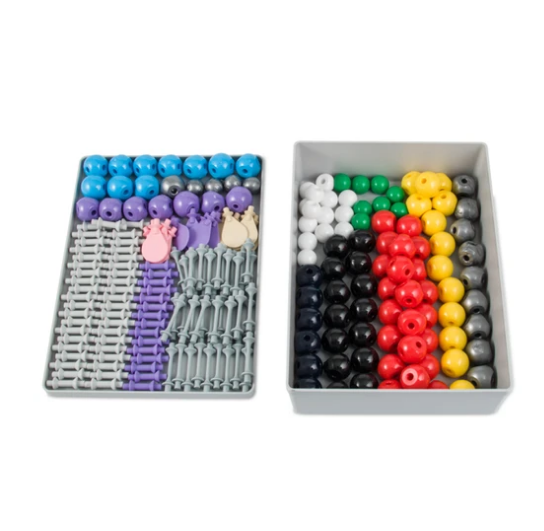 Modelo Molecular Orgánico e Inorgánico. Modelo M-11