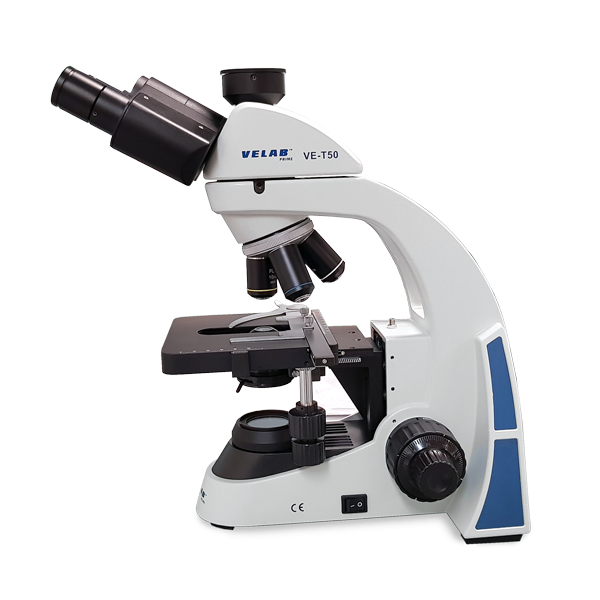 Microscopio triocular biológico. Modelo VE-T50. Marca: velab