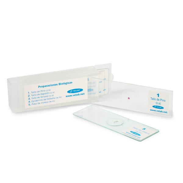 Microscopio Triocular biológico. Modelo VE-T2. Marca: velab