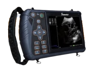 Ultrasonido Veterinario