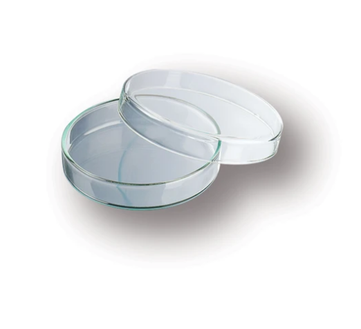 Caja Petri de vidrio 60x15mm. Modelo 237554008