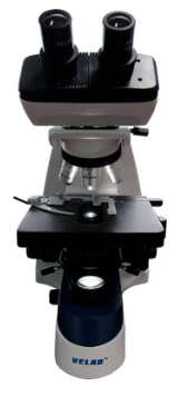Microscopio binocular biológico. Modelo VE-B3. Marca: velab