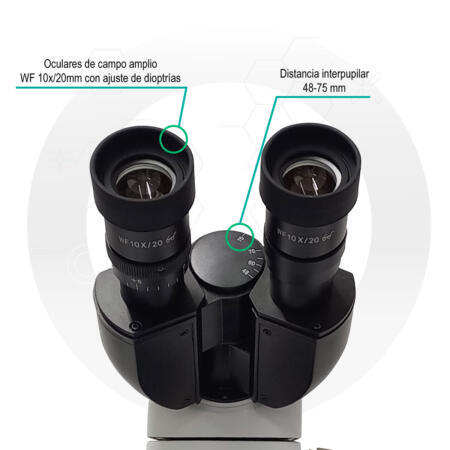 Microscopio Prisma 300