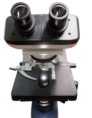 Microscopio binocular biológico. Modelo VE-B3. Marca: velab