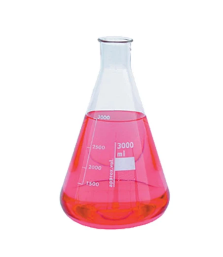 Matraz Erlenmeyer. Modelo. 4980-25