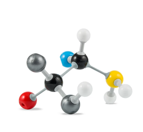 Modelo Molecular Orgánico. Modelo M-13
