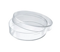 Caja Petri de vidrio. Modelo 1177-6