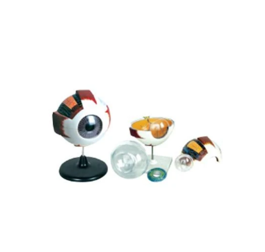 Modelo Ojo de Doble Utilidad. Modelo CVQ7033