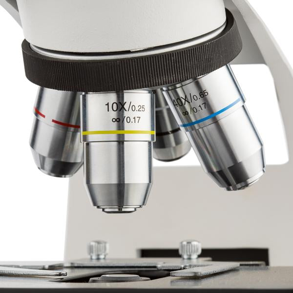 Microscopio Biológico Profesional. Modelo VE-B5. Marca: velab