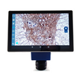 Tablet para microscopio. Modelo VE-SCOPEPAD 300. Marca: velab